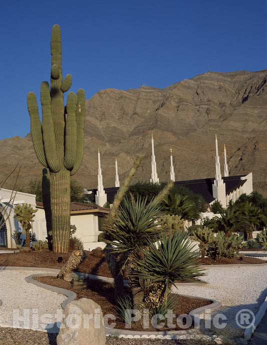 Las Vegas, NV Photo - Grounds of The Mormon Temple in Las Vegas, Nevada