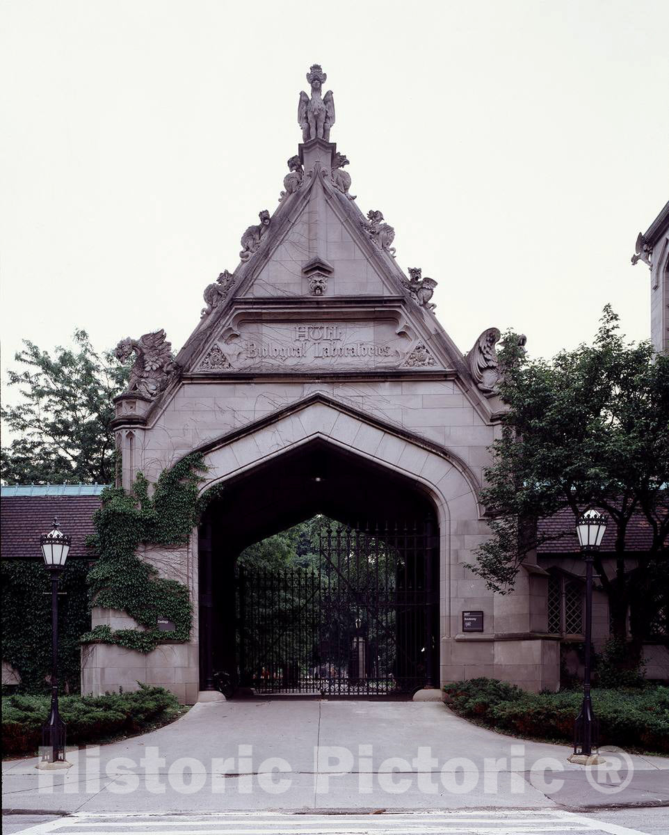 Photo - Entry gate, replete with gargoyles, to the University of Chicago, Chicago, Illinois- Fine Art Photo Reporduction