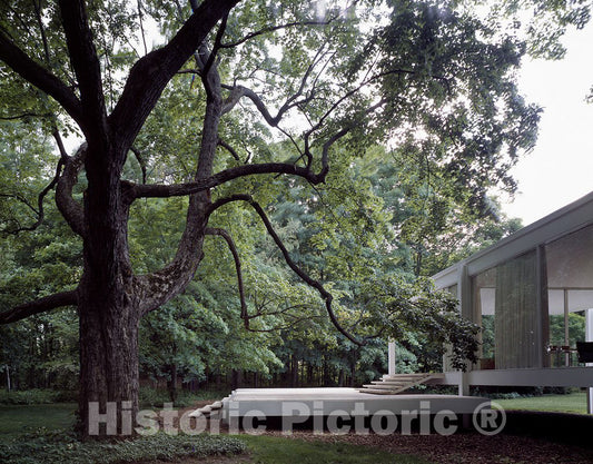 Plano, IL Photo - The 1951 Mies Van der Rohe-Designed Farnsworth House, an icon of 20th Century Modern Architecture in Plano, Illinois.