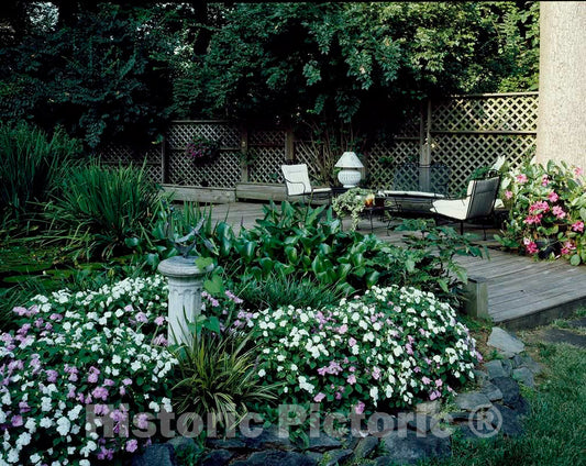 Photo- Patio garden 3 - Fine Art Photo Reproduction