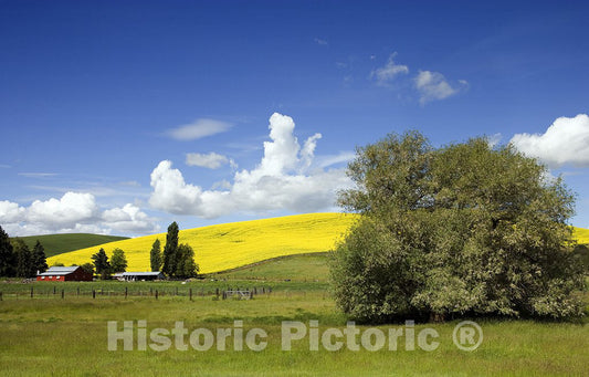 Idaho Photo - Idaho farm and field