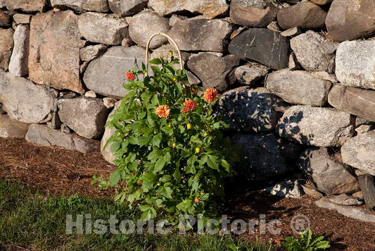 Photo - Estate grounds in Ridgefield, Connecticut]- Fine Art Photo Reporduction