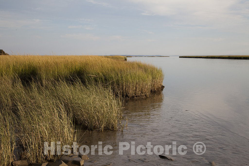 Westport, CT Photo - Looking Out Over The marshes in Long Island Sound Near Westport, CT