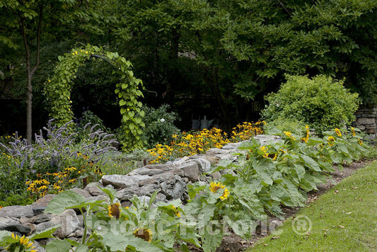 Connecticut Photo - Garden Along The Road in Connecticut