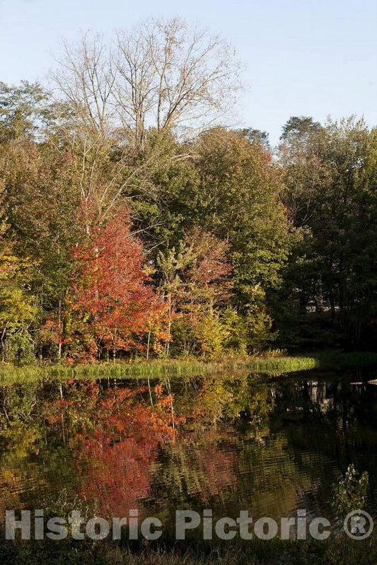 Photo - Pond in Essex, Connecticut- Fine Art Photo Reporduction