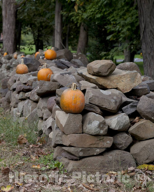 Photo- Connecticut Stone Fences 1 Fine Art Photo Reproduction