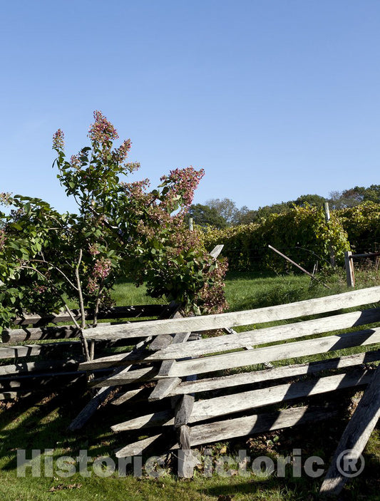 Pomfret, CT Photo - Sharpe Hill Vineyard in Pomfret, Connecticut