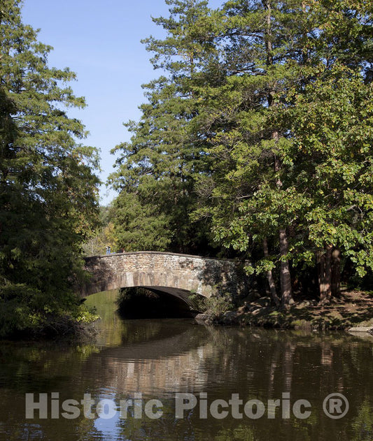 Hartford, CT Photo - Elizabeth Park in Hartford, Connecticut