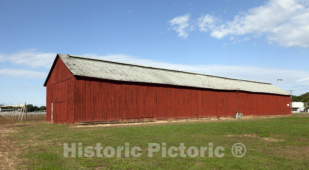 Windsor, CT Photo - Tobacco barns in Windsor, Connecticut