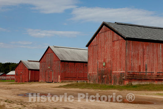 Photo- Tobacco barns in Windsor, Connecticut 6 Fine Art Photo Reproduction
