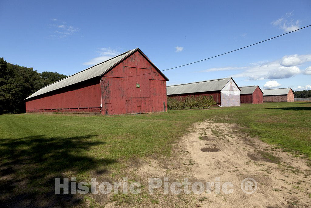 Windsor, CT Photo - Tobacco barns in Windsor, Connecticut