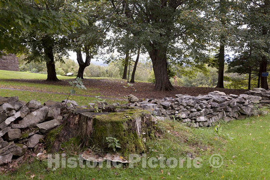 Connecticut Photo - Connecticut Stone Fences