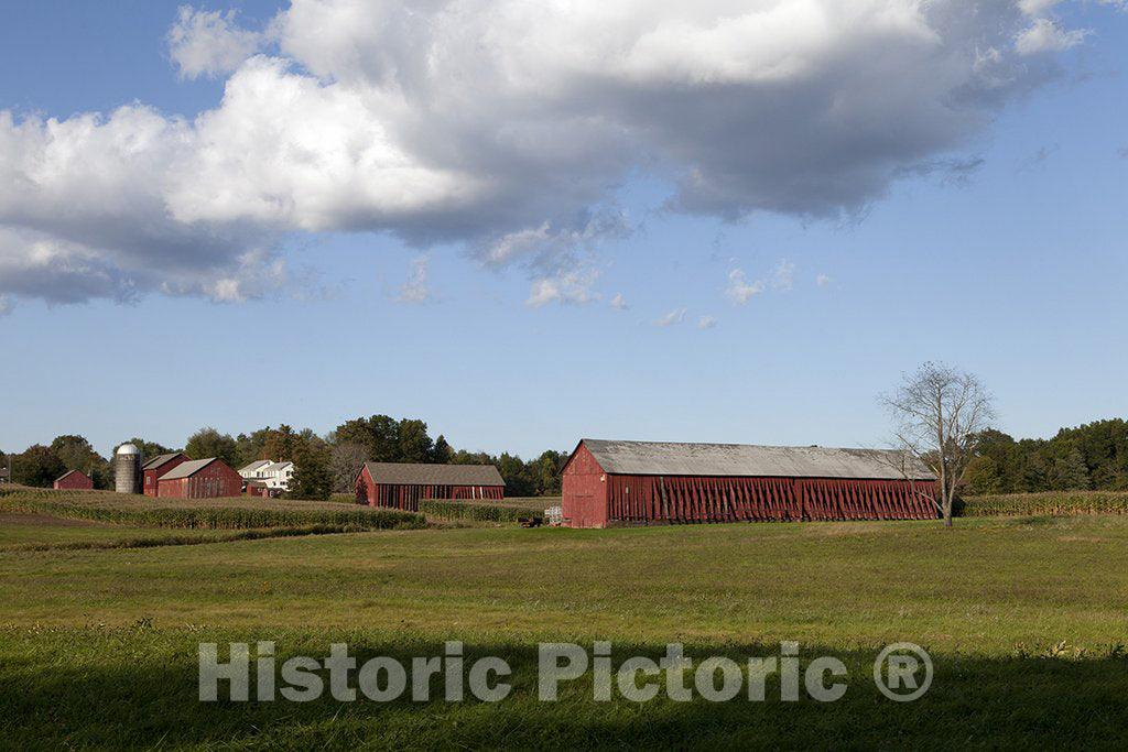 Suffield, CT Photo - Tobacco barns in Suffield, Connecticut