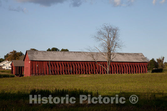 Photo- Tobacco barns in Suffield, Connecticut 6 Fine Art Photo Reproduction