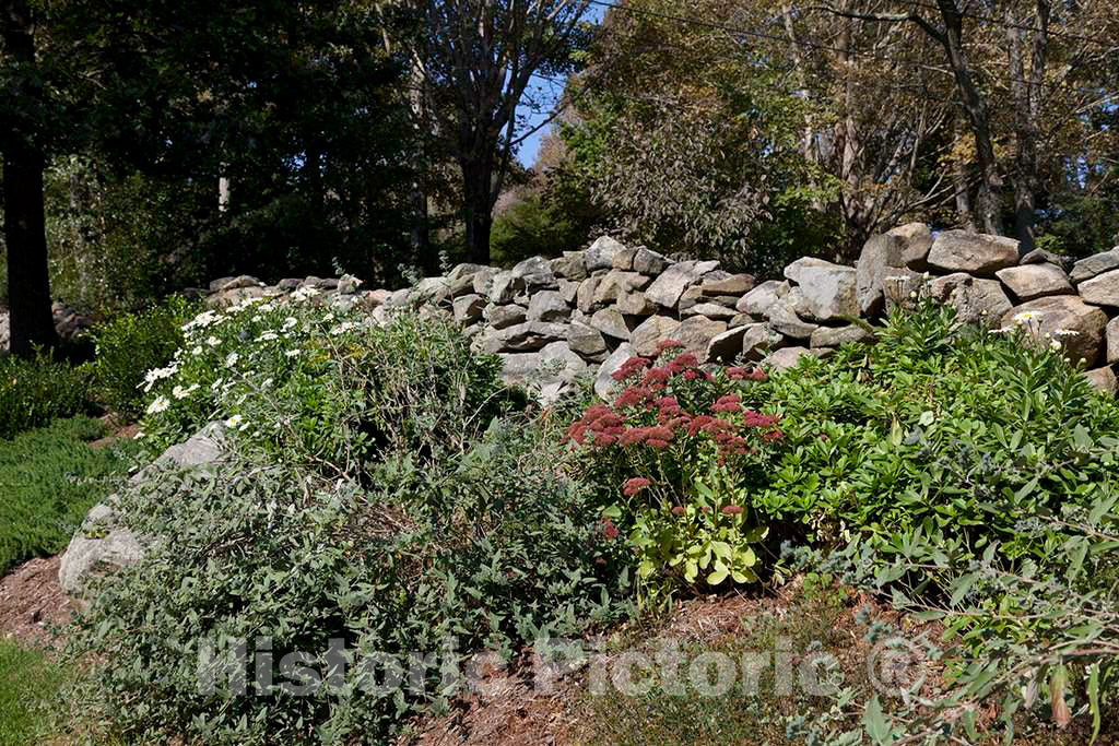 Photo- Connecticut Stone Fences 3 Fine Art Photo Reproduction