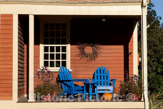 Photo - McClellan Elms, Woodstock, Connecticut- Fine Art Photo Reporduction