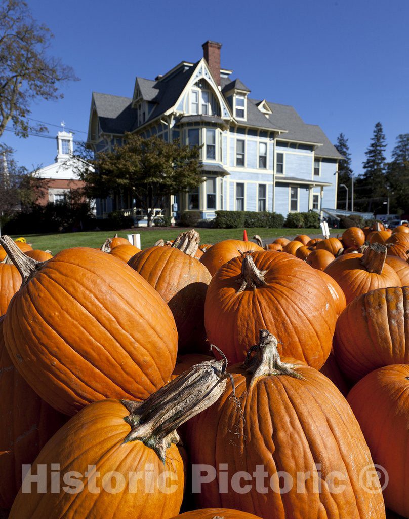 Southington, CT Photo - Pumpkin Stand in Southington, Connecticut