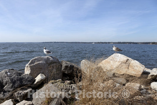 Greenwich, CT Photo - Greenwich Point Park, Connecticut