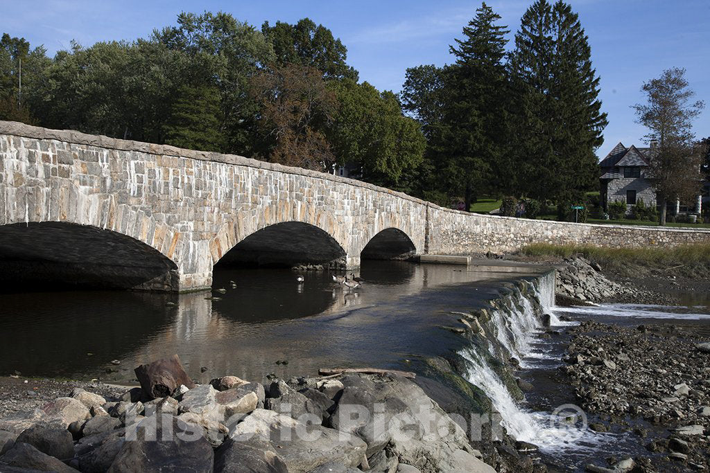 Darien, CT Photo - Gorham's Pond, Darien, Connecticut