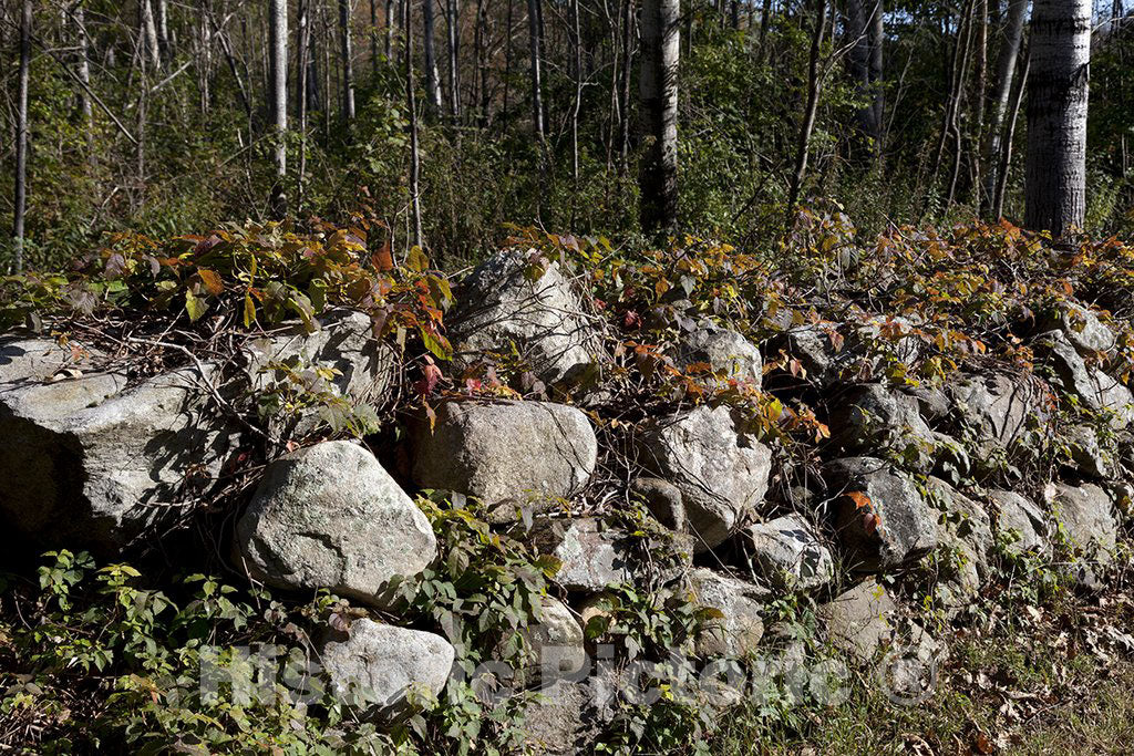 Litchfield, CT Photo - Stone Fence in Litchfield, Connecticut