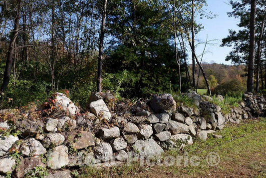 Photo - Stone fence in Litchfield, Connecticut- Fine Art Photo Reporduction