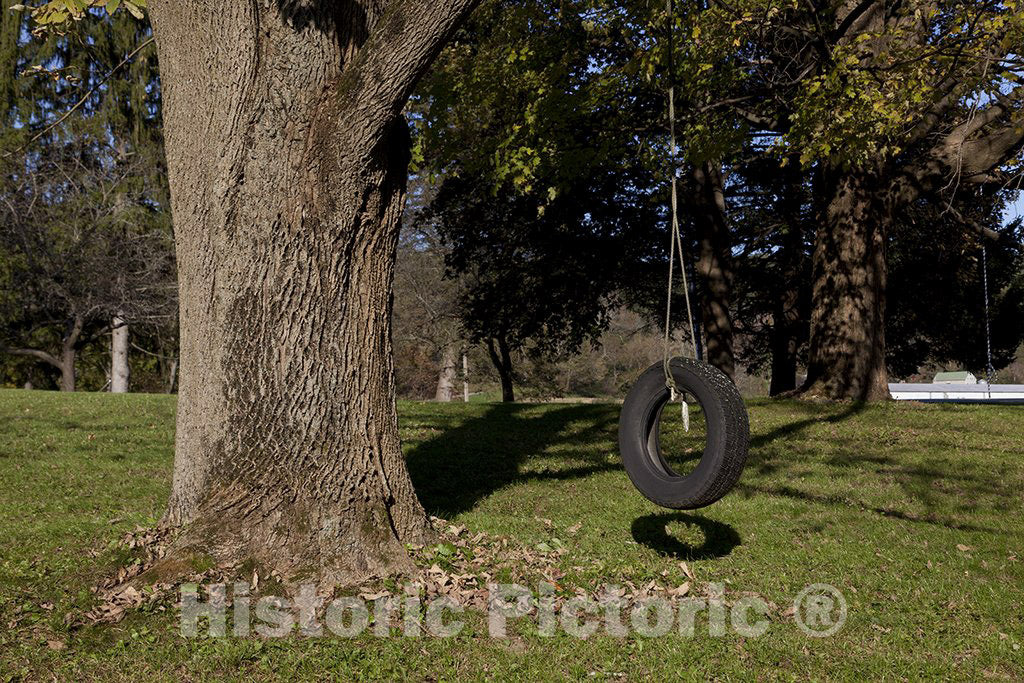 Litchfield, CT Photo - Tire Swing, Near Litchfield, Connecticut