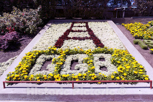 San Francisco, CA Photo - Flower Bed with Flowers Arranged as GGB at The Golden Gate Bridge, San Francisco, California