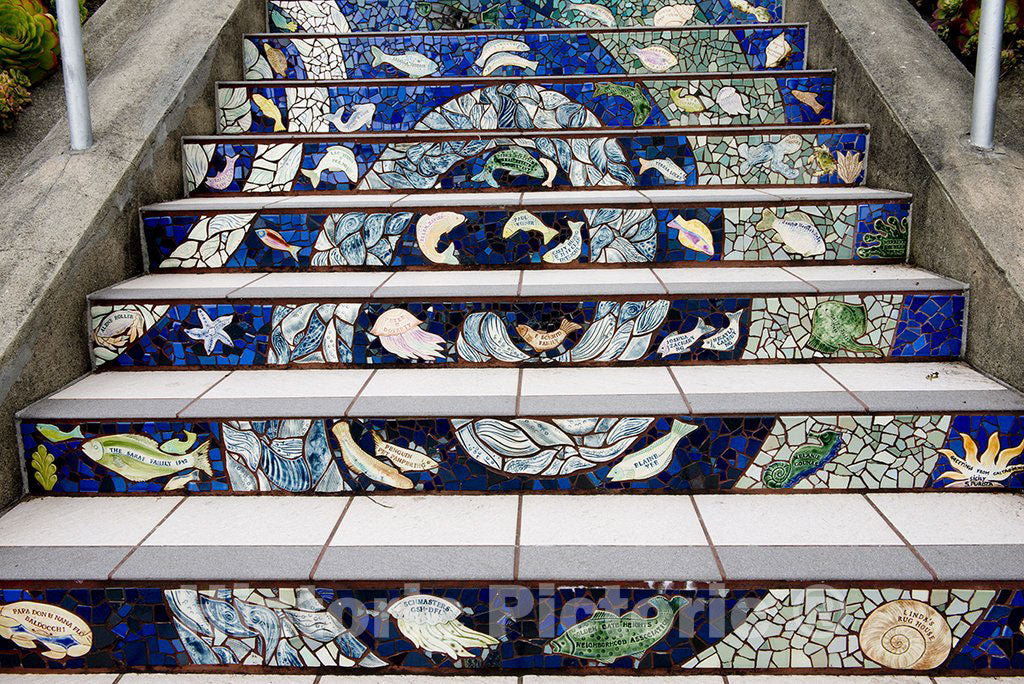 San Francisco, CA Photo - The 16th Avenue Tiled Steps Project, a neighborhood effort to create a mosaic running up the risers of the 163 steps located at 16th and Moraga