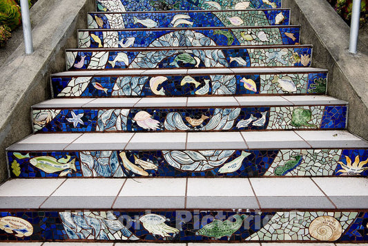 San Francisco, CA Photo - The 16th Avenue Tiled Steps Project, a neighborhood effort to create a mosaic running up the risers of the 163 steps located at 16th and Moraga