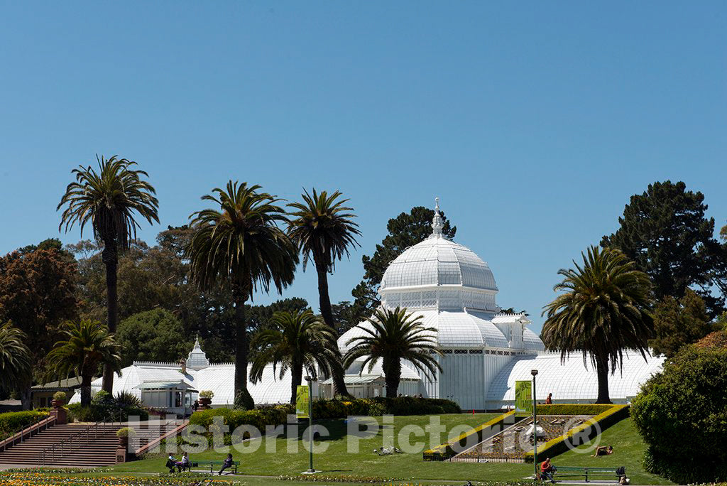 Photo- The Conservatory of Flowers, San Francisco, California 2 Fine Art Photo Reproduction