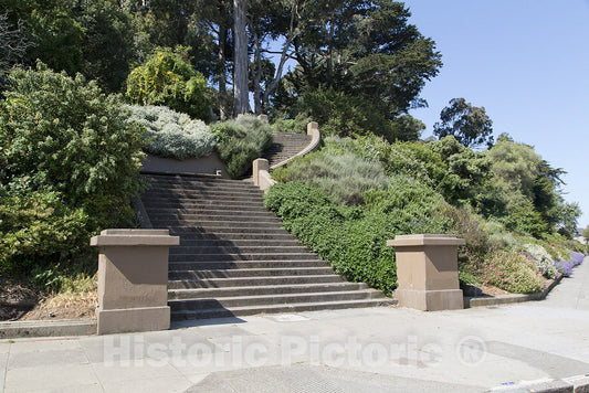 San Francisco, CA Photo - Buena Vista Park, San Francisco, California
