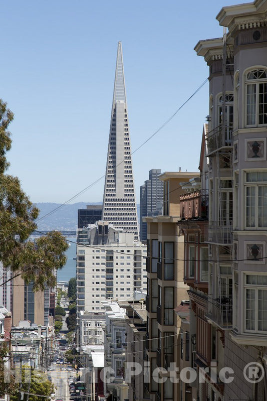 San Francisco, CA Photo - Hyde Street View of Transamerica Pyramid in San Francisco, California