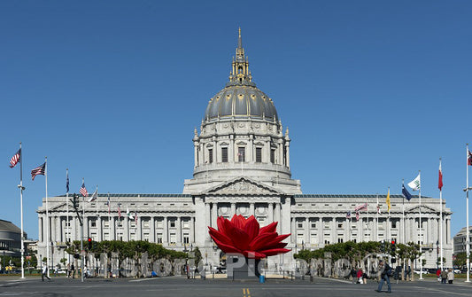 San Francisco, CA Photo - San Francisco City Hall with Breathing Flower Art by Choi Jeong HWA in Front. San Francisco, California