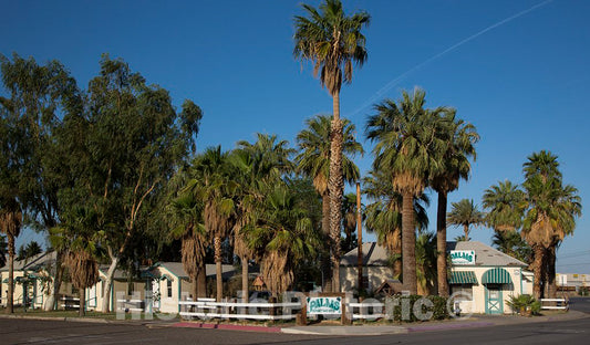 Photo - Palm Trees and Palms Apartments, Needles, California- Fine Art Photo Reporduction