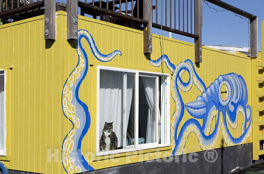 Sausalito, CA Photo - Gates Co-op Boat Houses Located in Sausalito, California