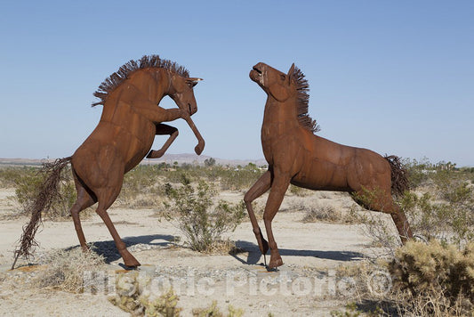 Borrego Springs, CA Photo - Horse sculptures in Borrego Springs, California