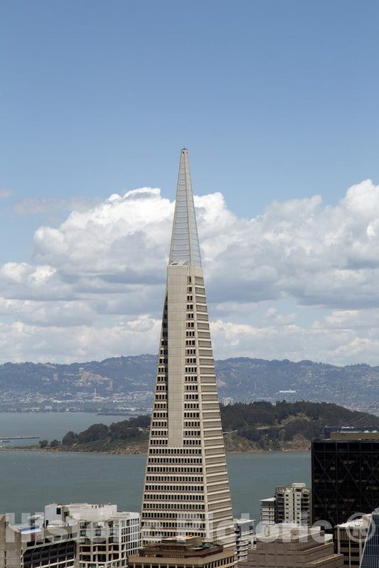 San Francisco, CA Photo - View of Transamerica Pyramid, San Francisco, California