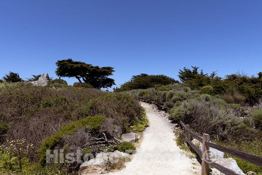 Monterey County, CA Photo - 17-Mile Drive, Scenic Road Through Monterey, California