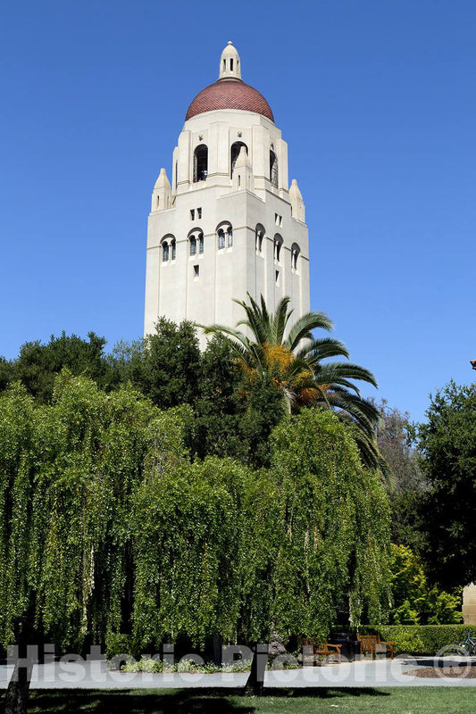 Photo- Stanford University, Palo Alto, California 1 Fine Art Photo Reproduction