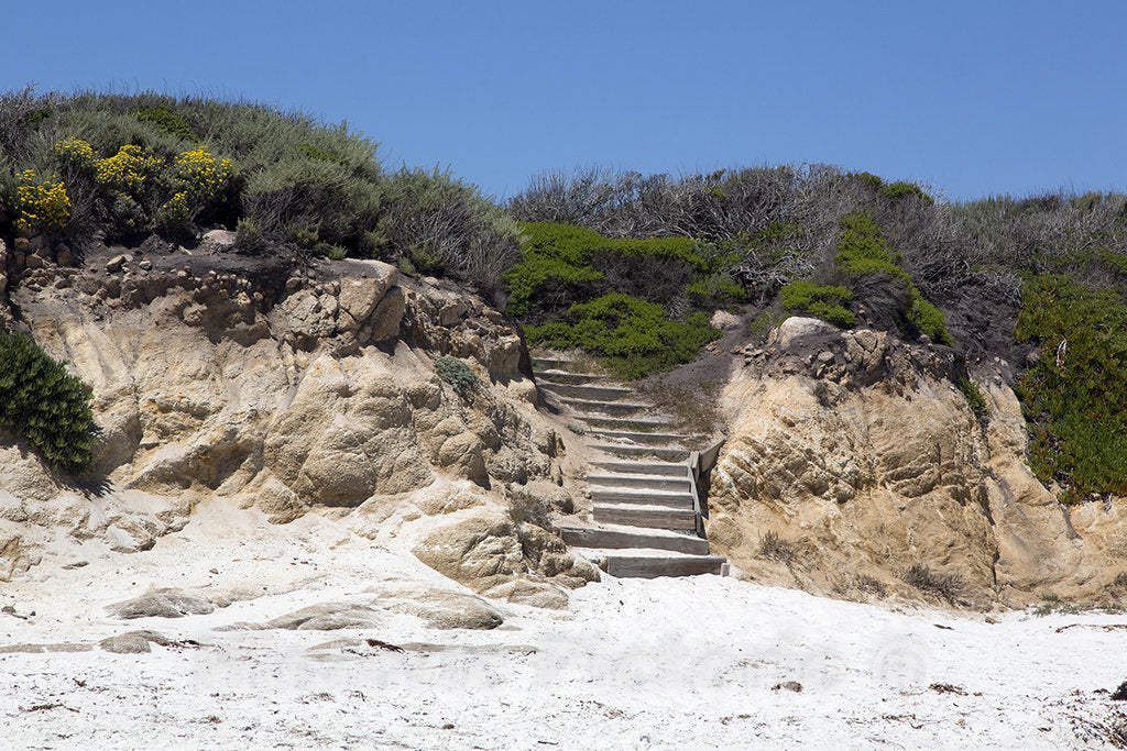 Pebble Beach, CA Photo - 17-Mile Drive, Scenic Road Through Monterey, California