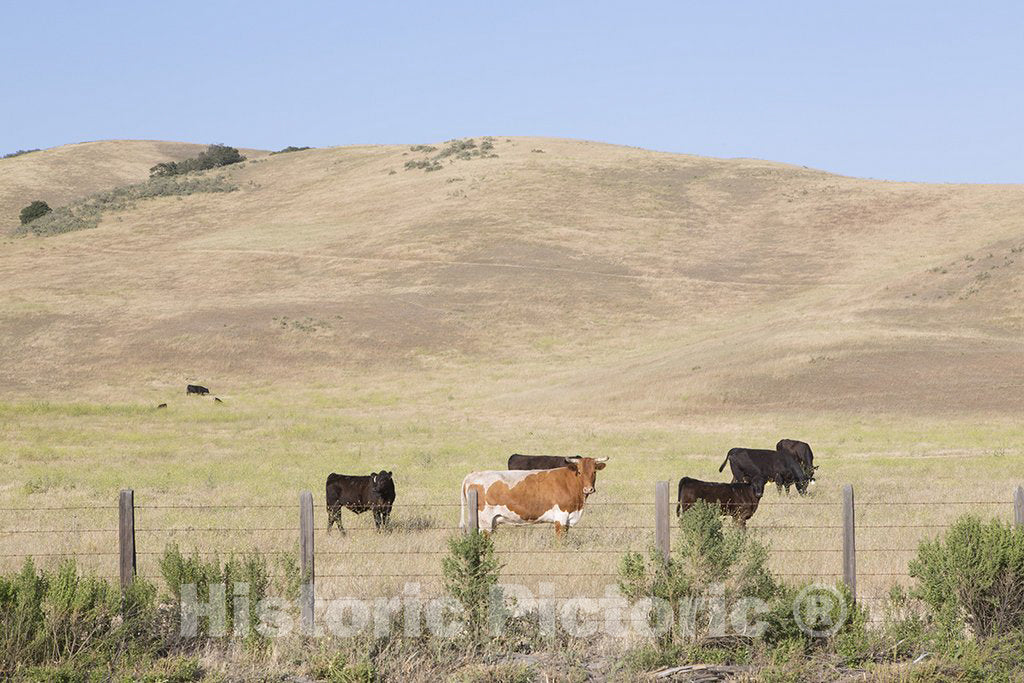 Paso Robles, CA Photo - Farmland in the Paso Robles area of California