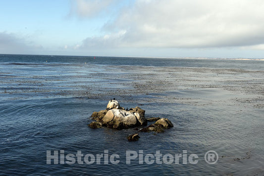 Monterey, CA Photo - Monterey Bay, a Bay of The Pacific Ocean Along The Central Coast of CA