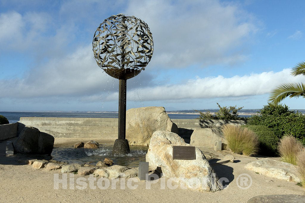 Monterey, CA Photo - Bronze sculpture"Sanctuary" by Michael Duffy, Tibor Hajagos, and John Random, Monterey Bay Sculptors, Inc, located at Monterey Bay.