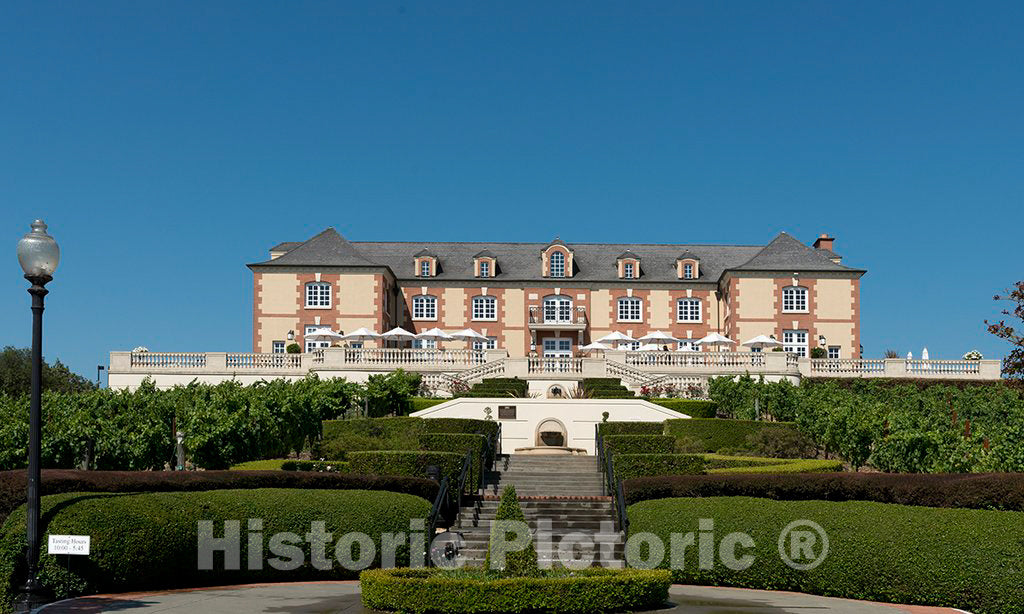Photo - Domaine Carneros Vineyard, Napa, California- Fine Art Photo Reporduction