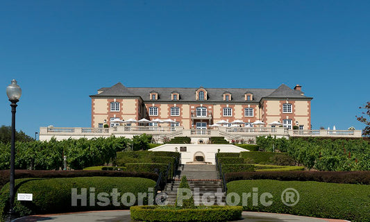 Photo - Domaine Carneros Vineyard, Napa, California- Fine Art Photo Reporduction