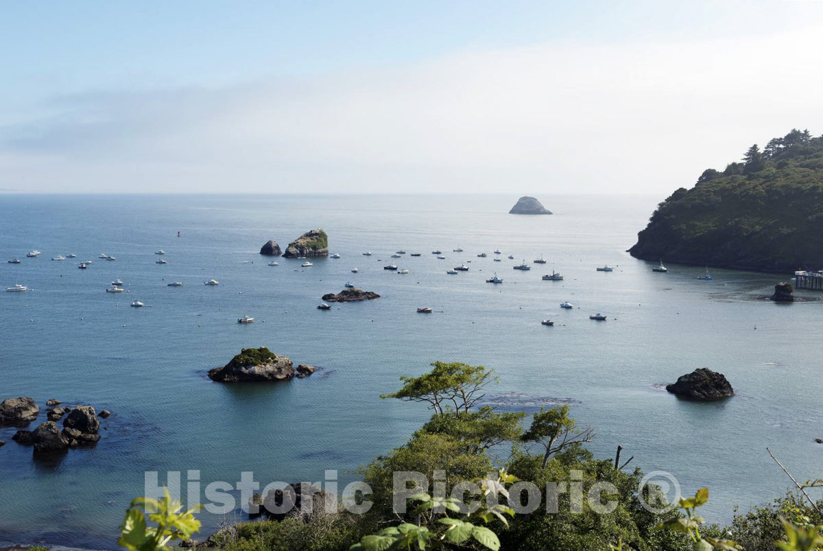Trinidad, CA Photo - Scenic View of Pacific Ocean, Trinidad, California
