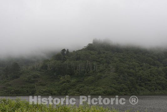 California Photo - Scenic View of Fog Over Forest Taken from Route 1 in Northern California