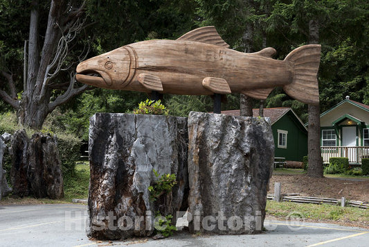 California Photo - Burl Art in Northern California
