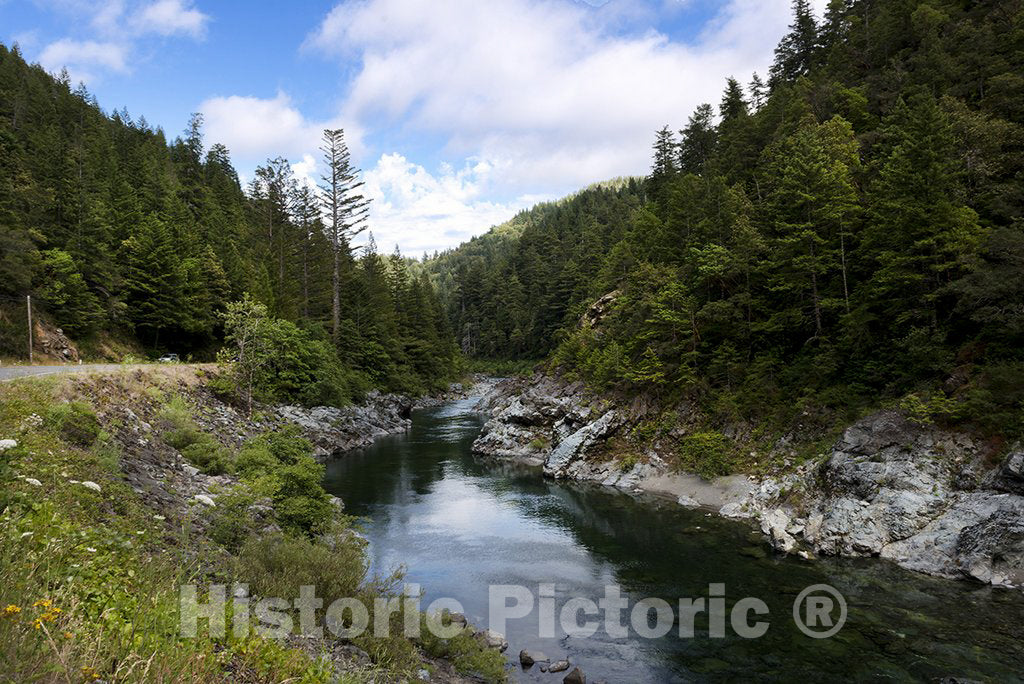 California Photo - View of Stream Along Scenic Route 101 in Northern California