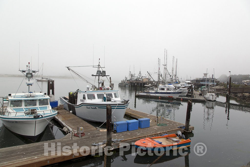 Morro Bay, CA Photo - Fog, Morro Bay, California